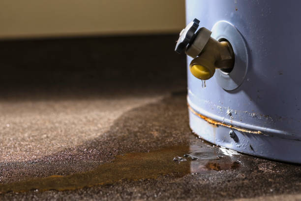 Best Residential water damage restoration  in Hunter, TN