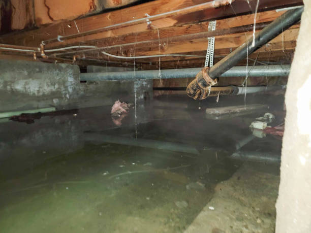 Best Flooded house restoration  in Hunter, TN