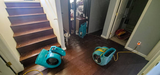 Best Sewage cleanup and water damage restoration  in Hunter, TN