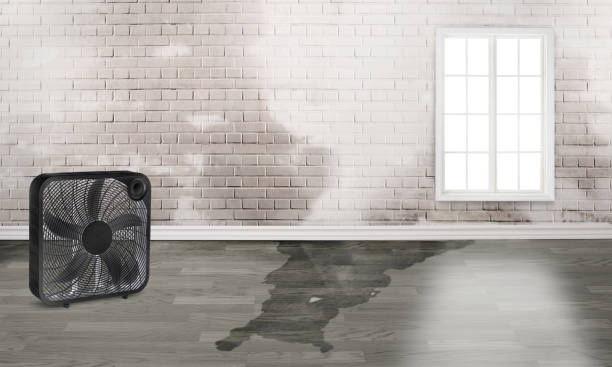 Best Water damage restoration near me  in Hunter, TN
