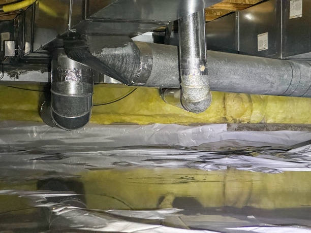 Best Mold removal after water damage  in Hunter, TN